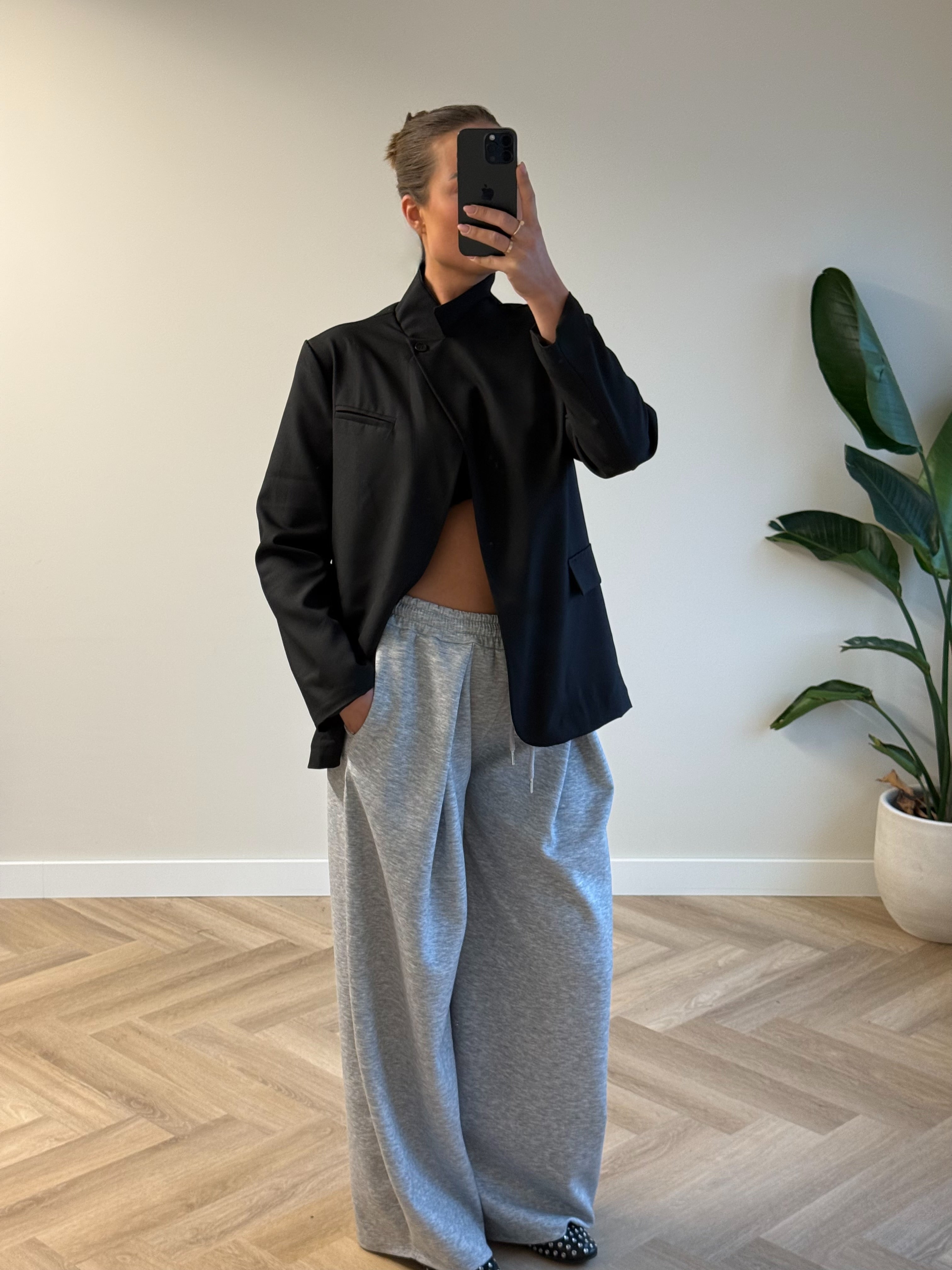 Wijde Jogger Geplooid Grijs | Char