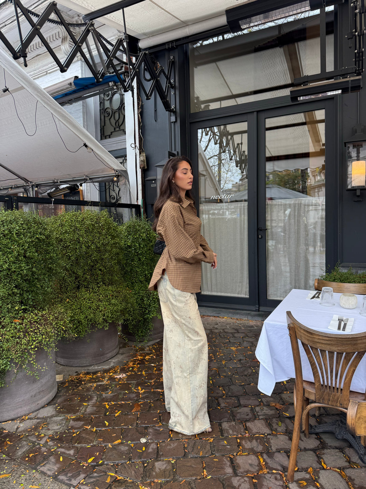 Checkered Blouse Getailleerd Bruin