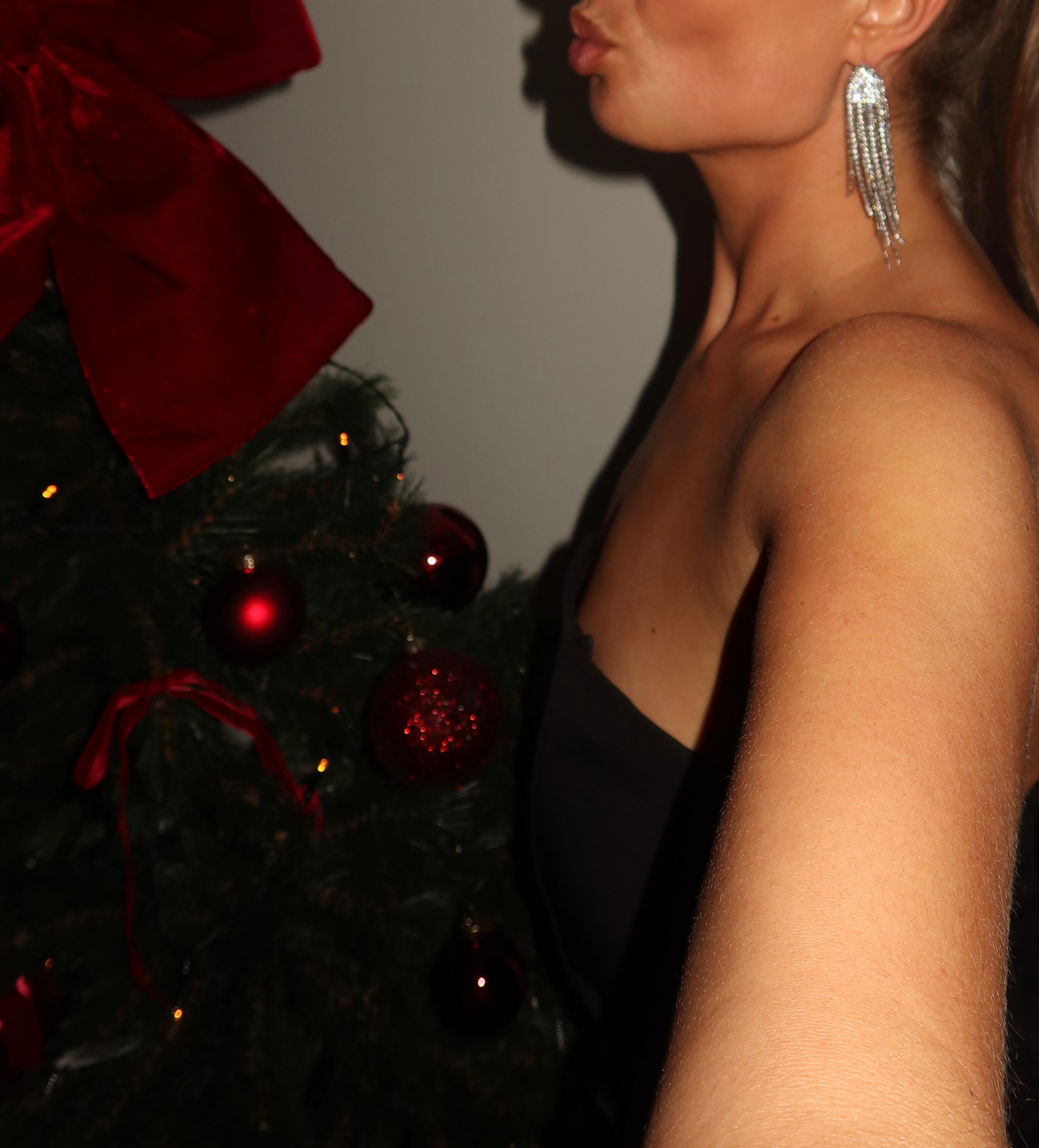 Strass Oorbellen Lang Zilver