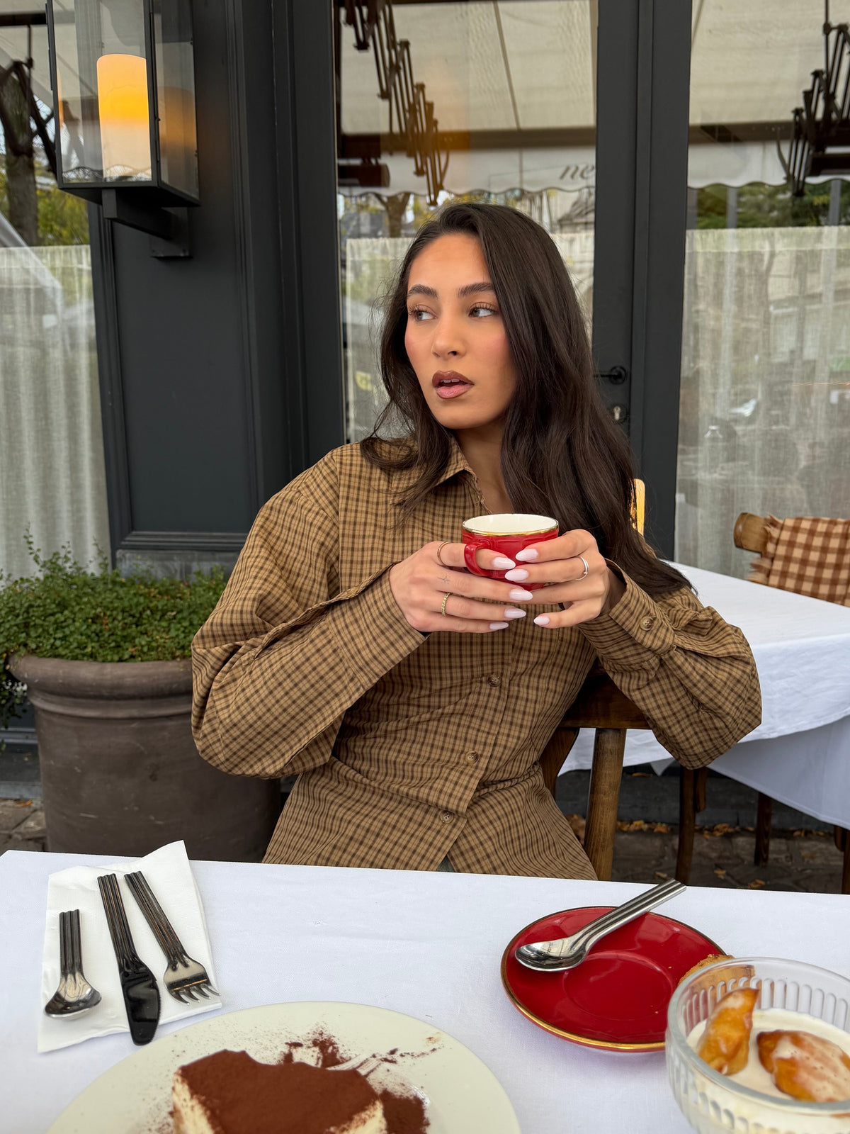 Checkered Blouse Getailleerd Bruin