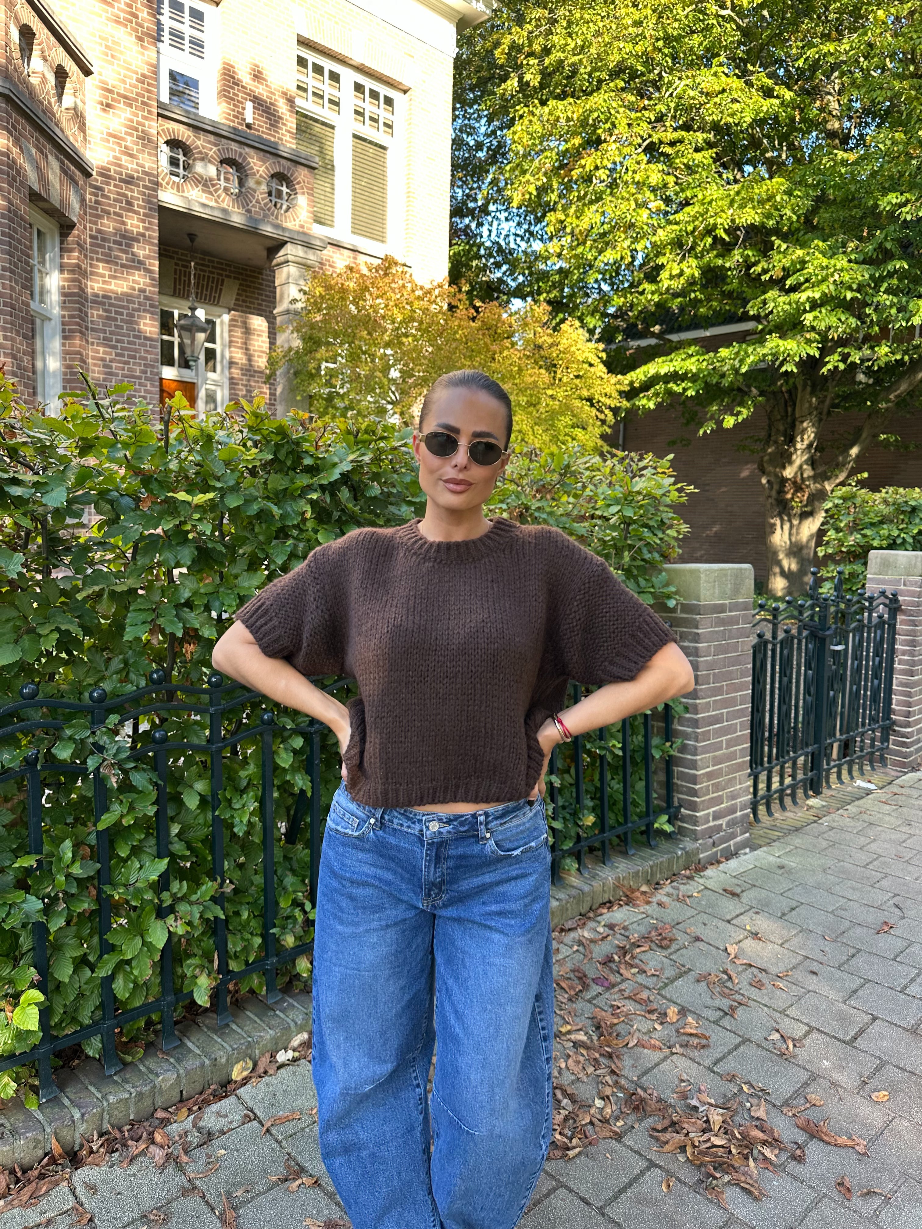 Knit Trui Korte Mouw Bruin | Nori