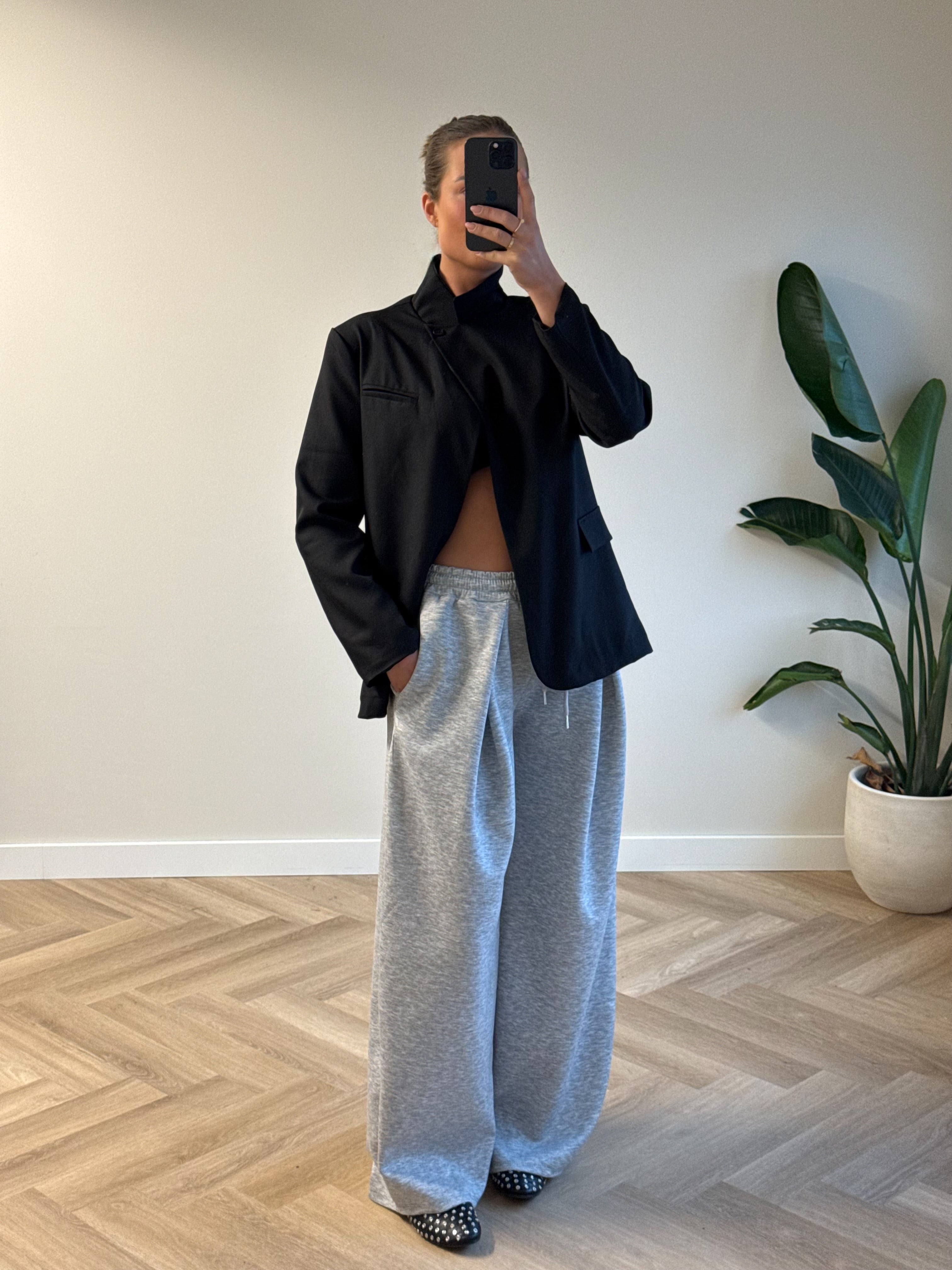 Wijde Jogger Geplooid Grijs | Char