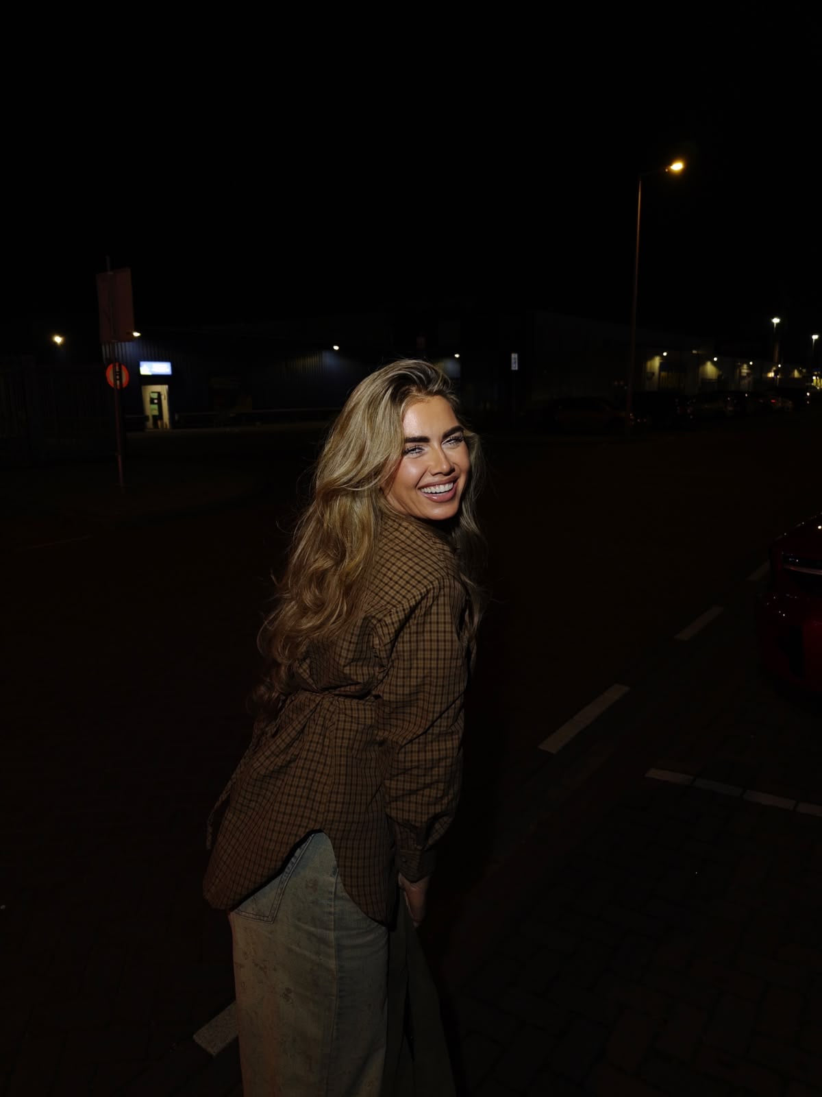 Checkered Blouse Getailleerd Bruin